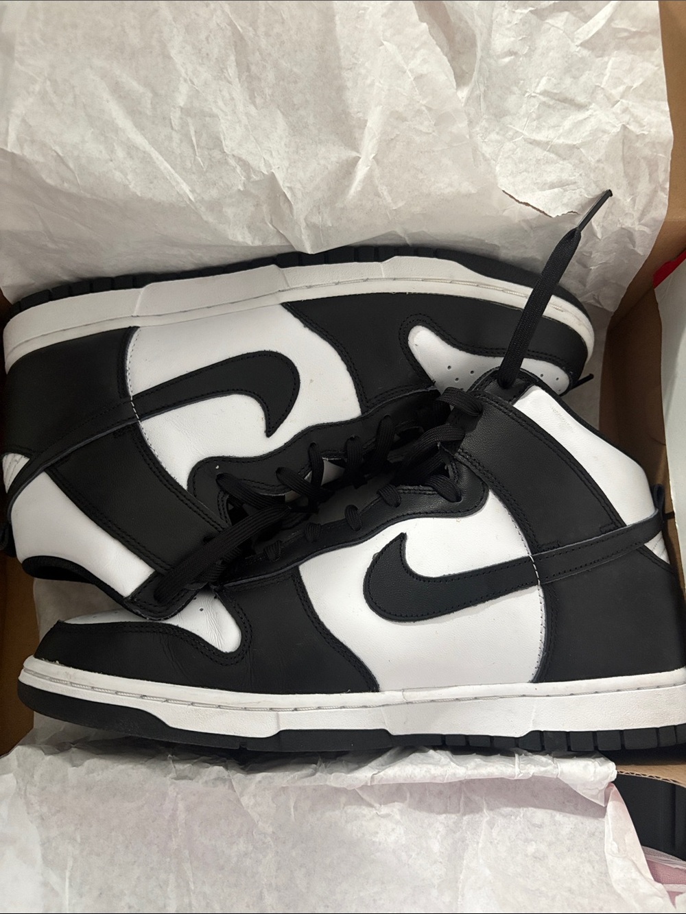 Nike Dunk Men’s High-Top Sneakers in Black and White